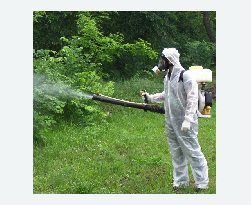 обработка территории от клещей в Марфино города Москвы