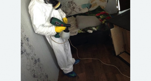 Обработка квартир от насекомых в Марфино города Москвы