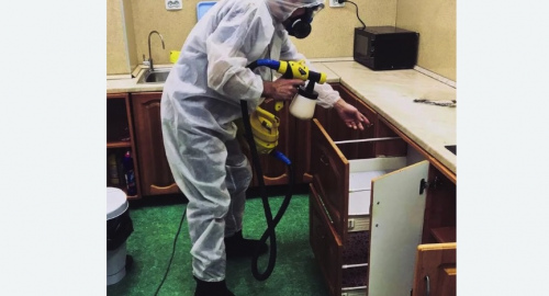 Дезинсекция квартиры. Марфино