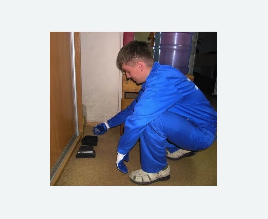 Дератизация крыс в Марфино города Москвы