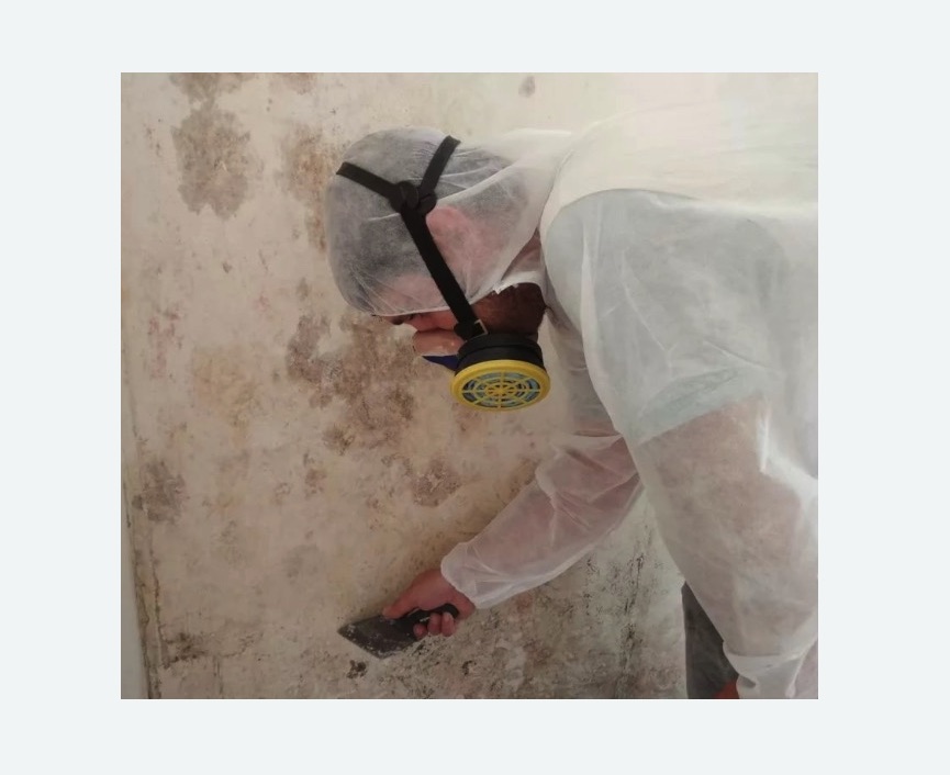 Обработка стен от плесени в Марфино города Москвы