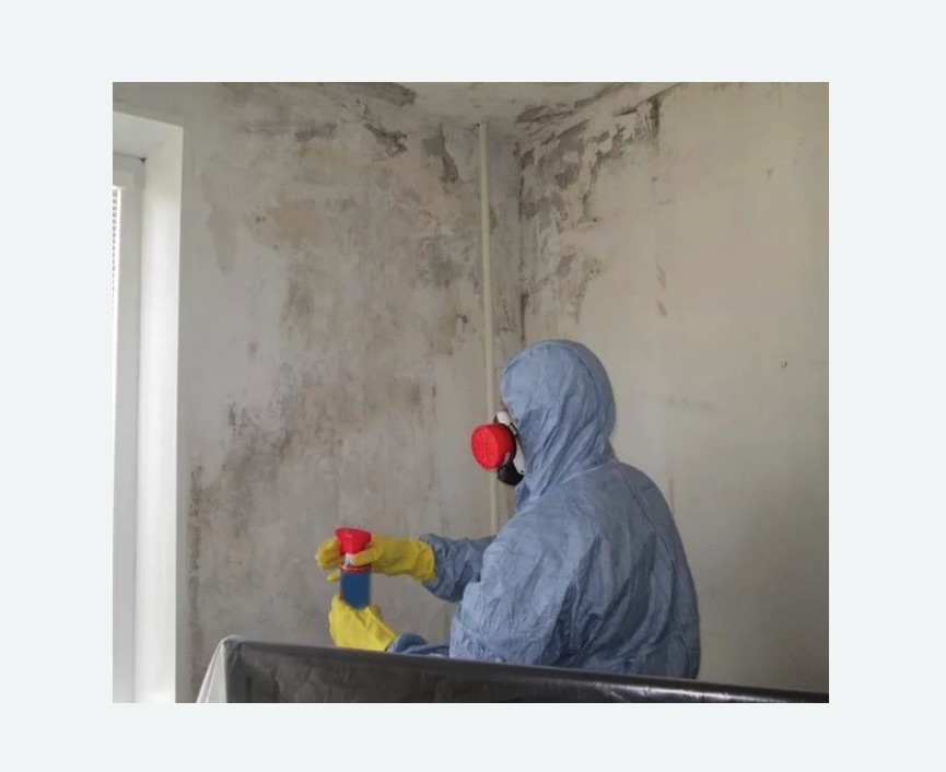 Удаление плесени в квартире в Марфино города Москвы