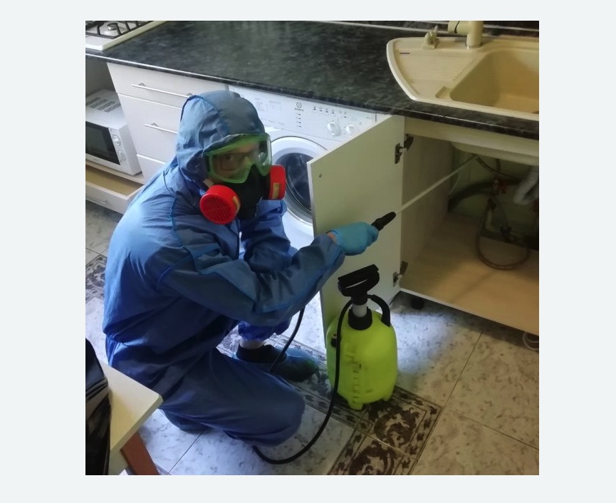 обработка от муравьев в квартире в Марфино города Москвы